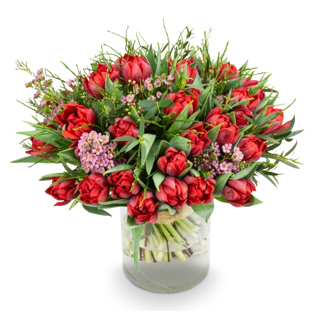 Kytice prémiových tulipánů